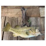 Mounted Bass
