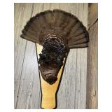 Turkey Feathers