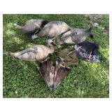 Wild Turkey Decoys