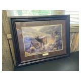 NWTF 'Glowing Echoes' Framed Print