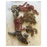 Heavy-Duty Log Chains