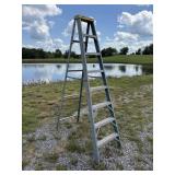 8 ft Ladder