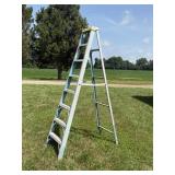 Werner 8ft Ladder