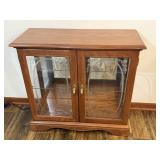 Glass Front Lighted Curio Cabinet
