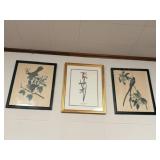 Framed Artwork by John James Audubon