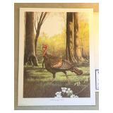 Unframed Artwork - American Wild Turkey by RJ