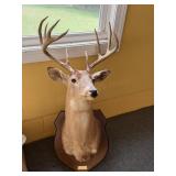 Deer Mount