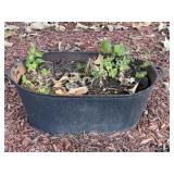Cast Iron Flower Pot