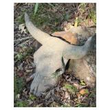 Concrete Long Horn Skull