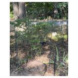 Metal Lawn Trellis & Cast Iron Kettle
