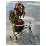 Bicycle Pot Holder & Pot