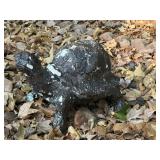 Concrete Turtle