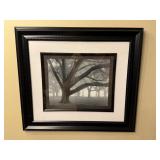 Framed Black & White Photography