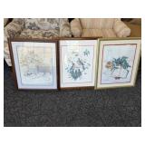 Framed Artwork