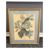 Framed Artwork Canada Jay by John James Audubon