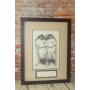 W.L.A.R Consignor Auction