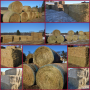 DODGE DECEMBER ONLINE HAY AUCTION - Dodge, WI