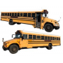 40+ City Surplus School Buses 