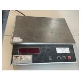 Berne Electronic Weighing Scale B4-825 for Precisi
