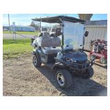 SDLGC80 Golf cart w/double seats from the and