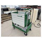 Raytec WayPig 252 Hog Scale
