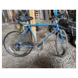 Free spirit, 12 speed bicycle
