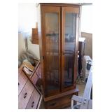 2 DOOR GUN CABINET
