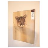 MOUNTAIN LION PICTURE