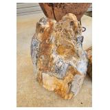 Petrified Wood Specimens - Assortment