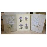 Floral Botanical Framed and Unframed Prints