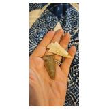 Arrowhead Artifacts