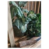 Potted Faux Foliage Assortment