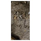 Scrap Metal Assortment