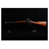 HENRY 22CAL W/RED DOT SCOPE