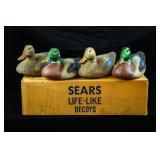 4 SEARS LIFE-LIKE DECOYS - PAPIER MACHE