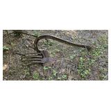 Antique Horse-Drawn Cultivator / Farm Implement