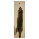 Genuine Raccoon Fur Pelt  Hunter