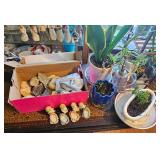 Potted Houseplants and Rocks