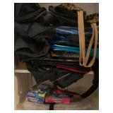 Storage Bags Including Tote and Reusable