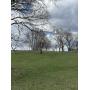 Quarles Estate 155 +/- acre Farm