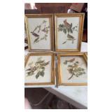 Bird prints
