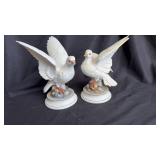 Pr doves 9ï¿½
