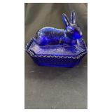 Rabbit on nest