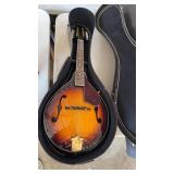 Mandolin in case