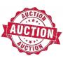 Home Improvement Store Liquidation Auction