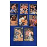 1994 WWF Trading Card lot