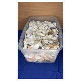 Shell lot