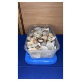 Shell lot