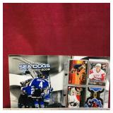 Small Binder Of Assorted NHL Hockey Cards