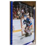 1988 New York Rangers NHL Poster